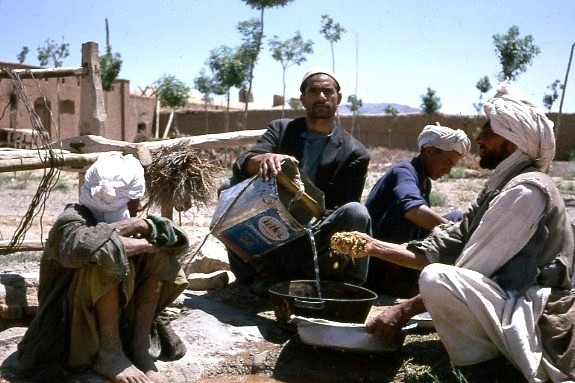 Herat: countryside