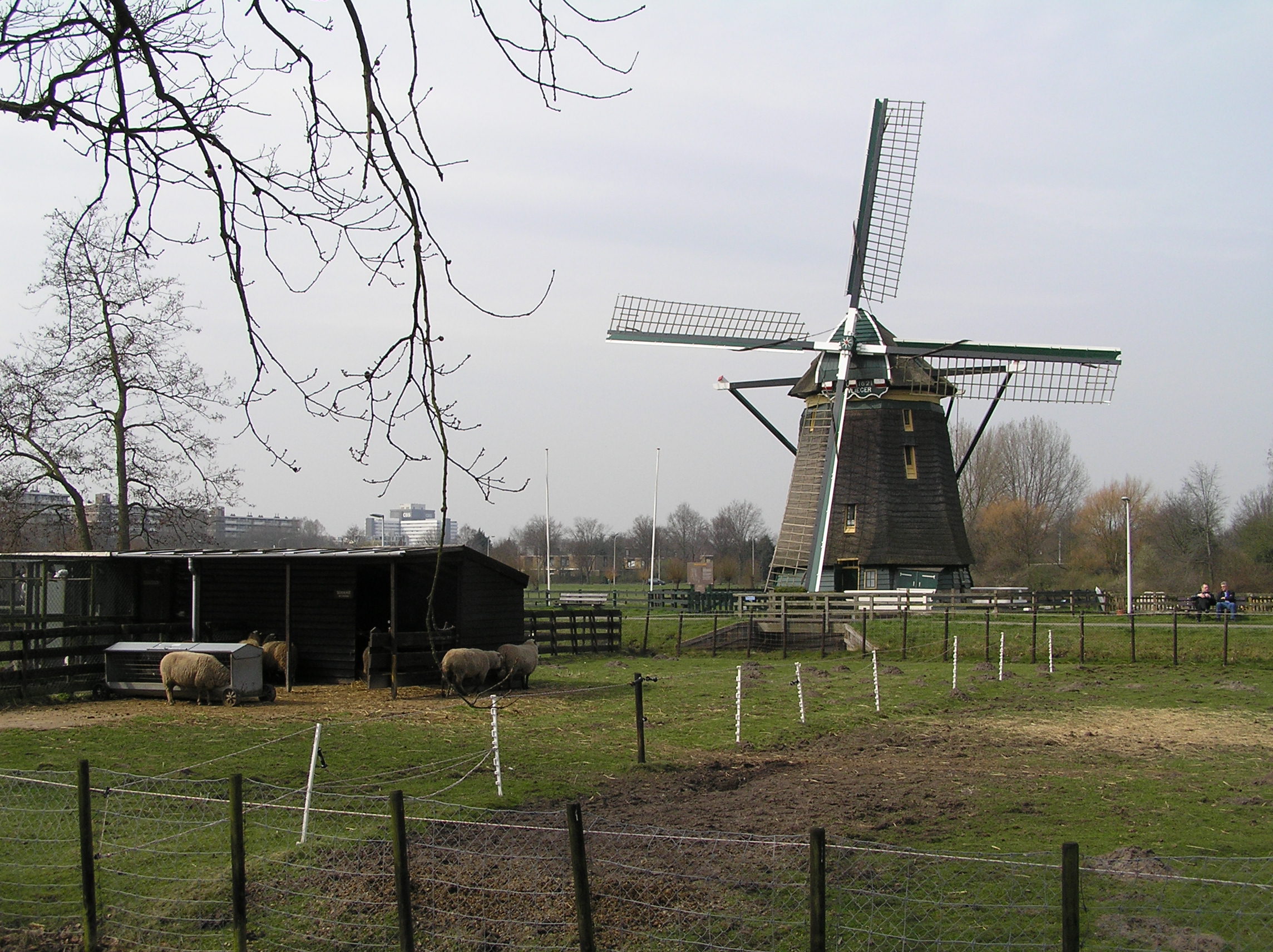 Molen De Vlieger