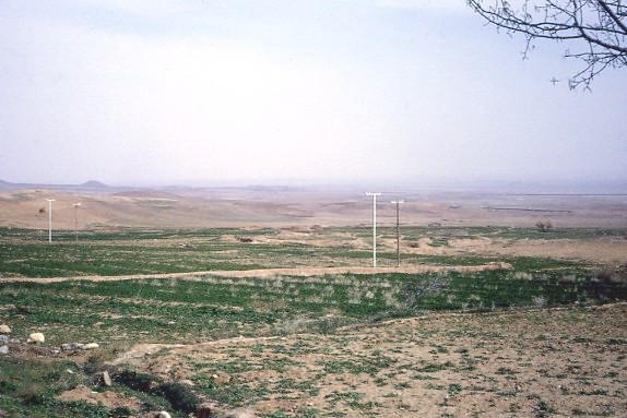 desolate landscape